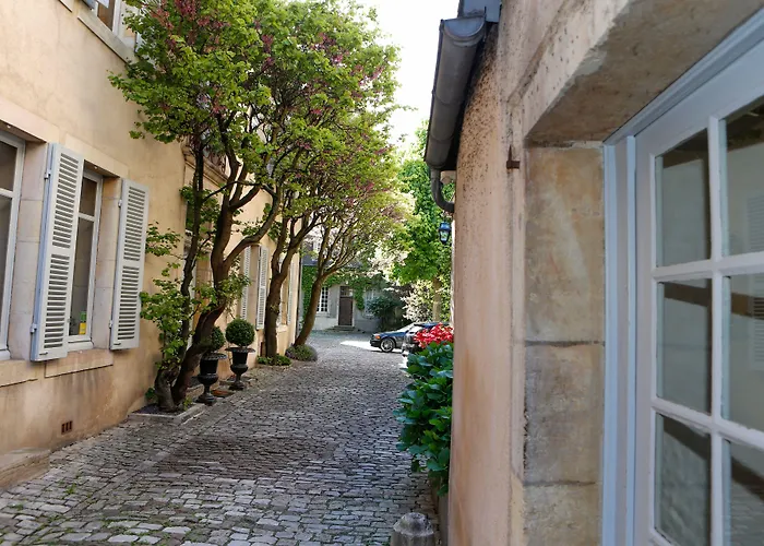 Hotel La Cour Berbisey - Les Collectionneurs à Dijon